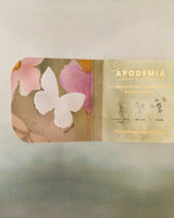 Compra Gift Packaging en Apodemia Gift Packaging