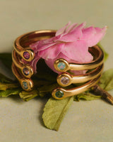 Compra Anillo Regulable Night Sky Map Rainbow en Apodemia Anillo Regulable Night Sky Map Rainbow