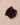 Caja Mujer Dune Black Iron