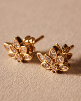Pendientes Duo Succulenta
