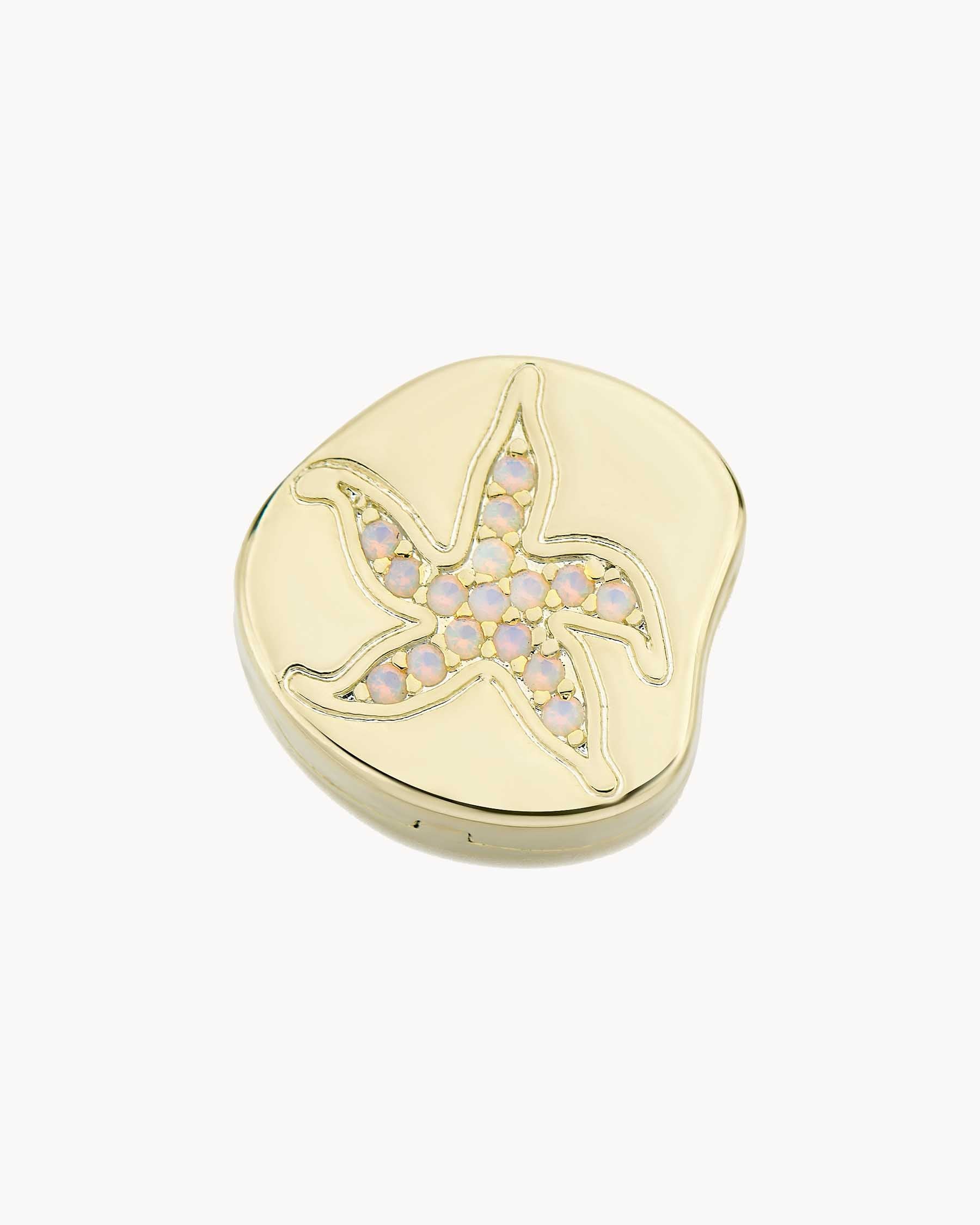 Fossil Star Clip Charm