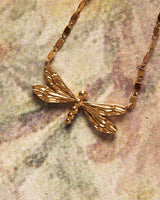 Collar Dragonfly