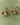 Pendientes Firefly Pareja