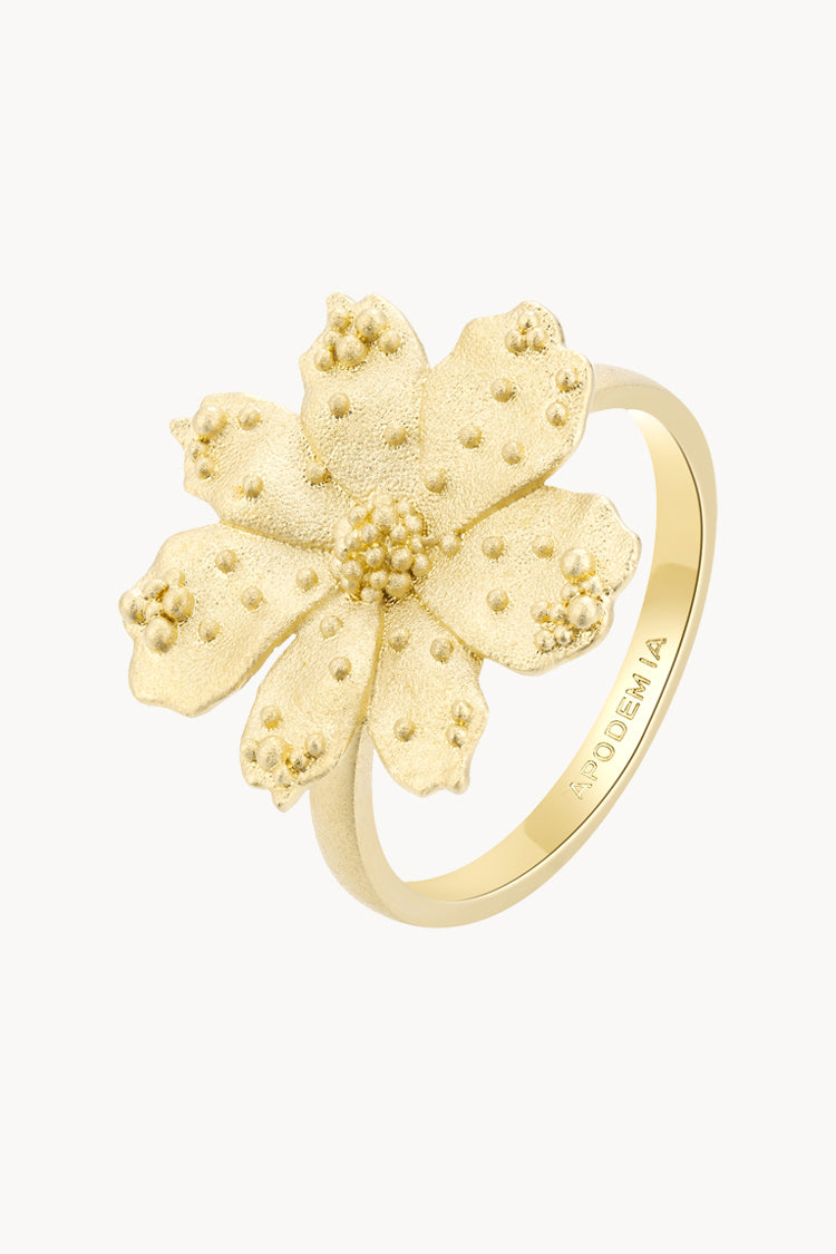 Anillo Bulky  Zinnia