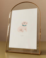 Illustration Pets | LIMITED EDITION