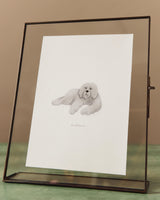 Illustration Pets | LIMITED EDITION