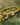 Anillo Sparkle Olivia Wild  | EXCLUSIVO ONLINE