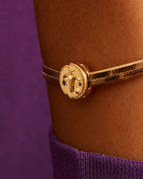 Charm Clip Horoscopo Aries