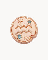 Charm Clip Aquarius Horoscope | The Gray Box