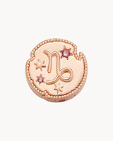 Capricorn Horoscope Charm Clip | The Gray Box