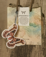 Tarjeta Personalizable Mariposa Perfumable