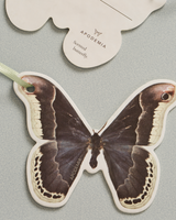 Customizable Scented Butterfly Card