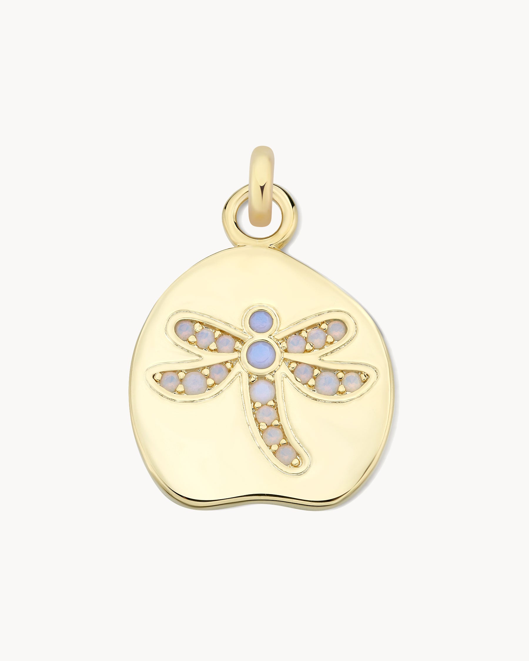 Dragonfly Charm